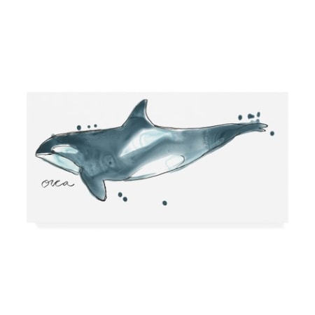 June Erica Vess 'Cetacea Orca Whale' Canvas Art,16x32